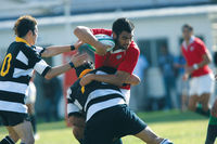 Sport in Catholic schools Archdiocese of Wellington