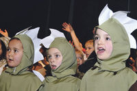 The Biggest Little Kiwiana Show in Masterton Archdiocese of Wellington