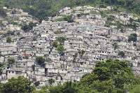 Caritas raises more than half a million for Haiti Archdiocese of Wellington