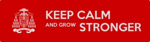 projectstronger_footer