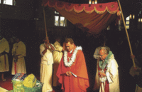 A multicultural technicolour Pentecost in Hastings Archdiocese of Wellington
