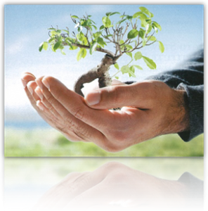 Stewardship