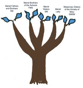 Fouviere-Marist-Family-Tree_web