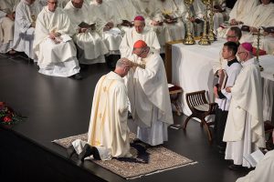 From Hawke’s Bay to Christchurch: New Bishop Ordained Archdiocese of Wellington
