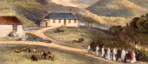 Archives and History Archdiocese of Wellington Archives and History Archdiocese of Wellington