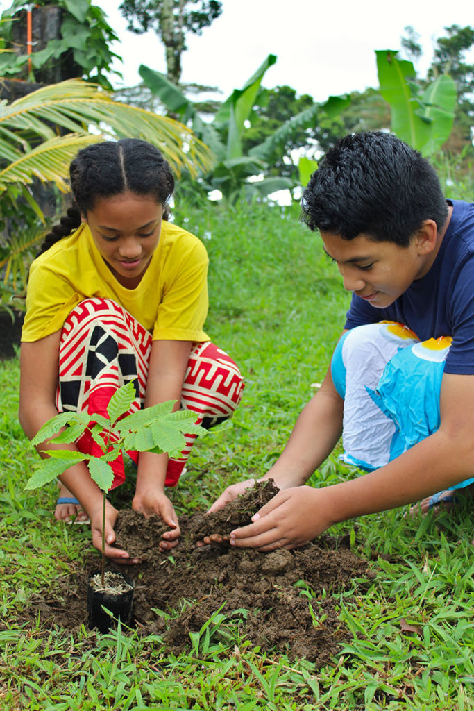 Seeds of Hope: Caritas State of the Environment for Oceania Report 2019 Archdiocese of Wellington