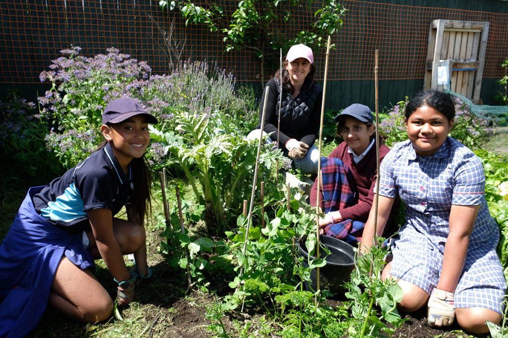 Care for our common home Archdiocese of Wellington