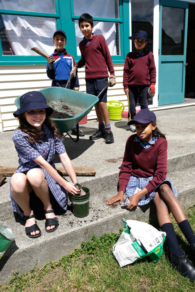Care for our common home Archdiocese of Wellington