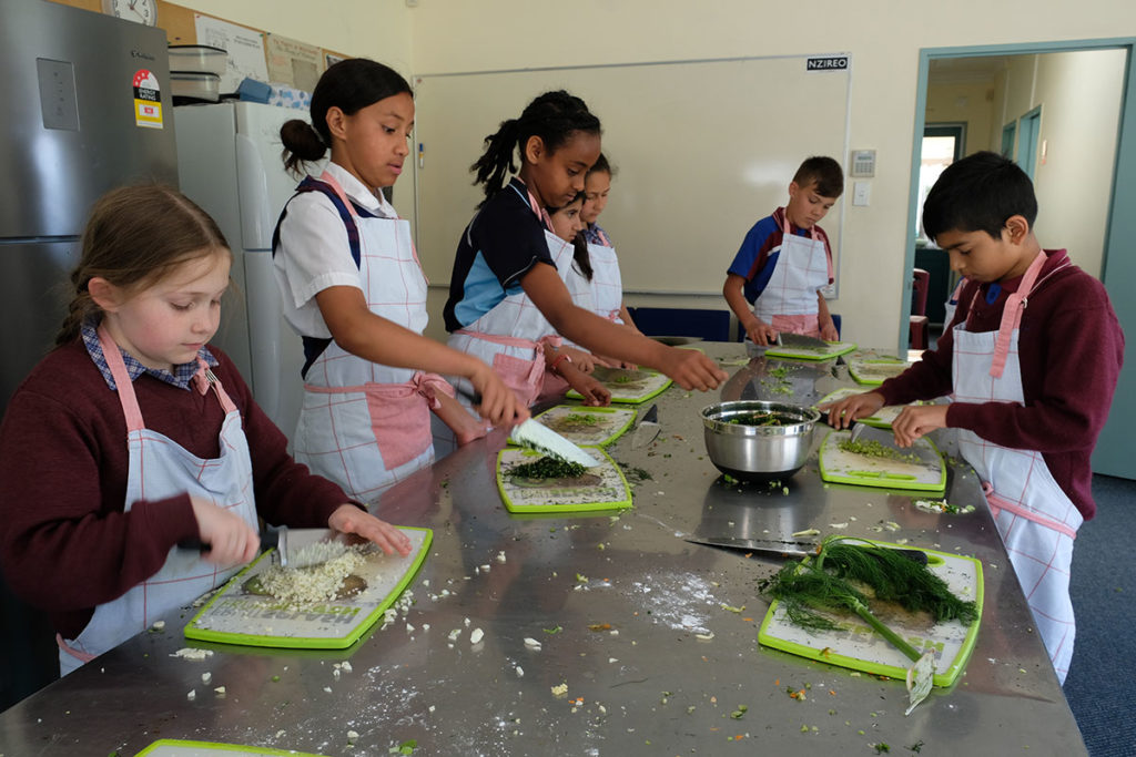 Care for our common home Archdiocese of Wellington