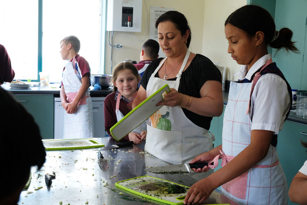 Care for our common home Archdiocese of Wellington