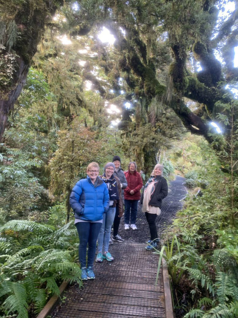 A time of renewal in God’s creation Archdiocese of Wellington