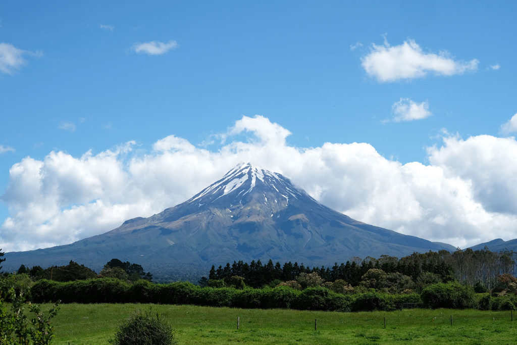 He Hīkoi Whakapono: A Journey of Faith Archdiocese of Wellington