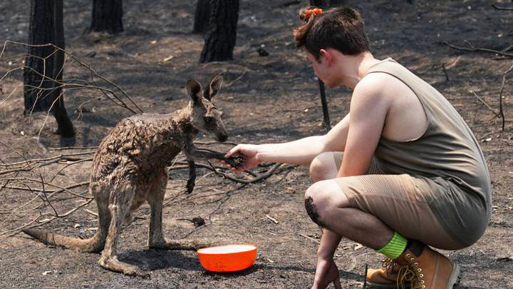 Church Responds to Australian Bushfires Archdiocese of Wellington