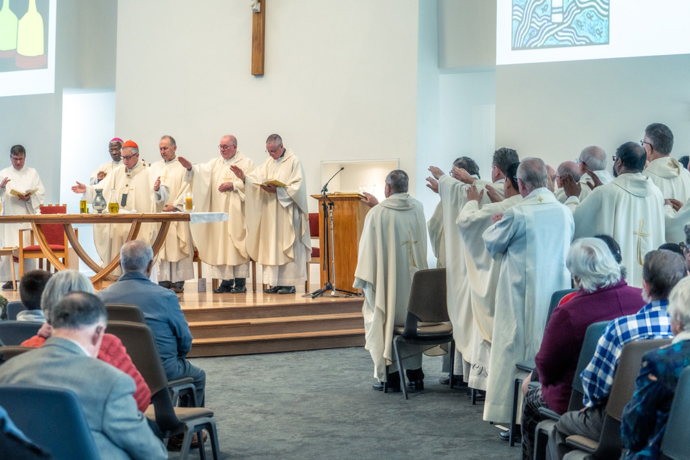 Dioceses celebrate Chrism Mass together Archdiocese of Wellington