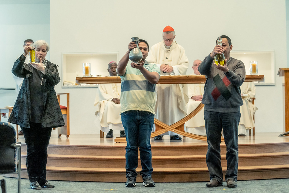 Dioceses celebrate Chrism Mass together Archdiocese of Wellington