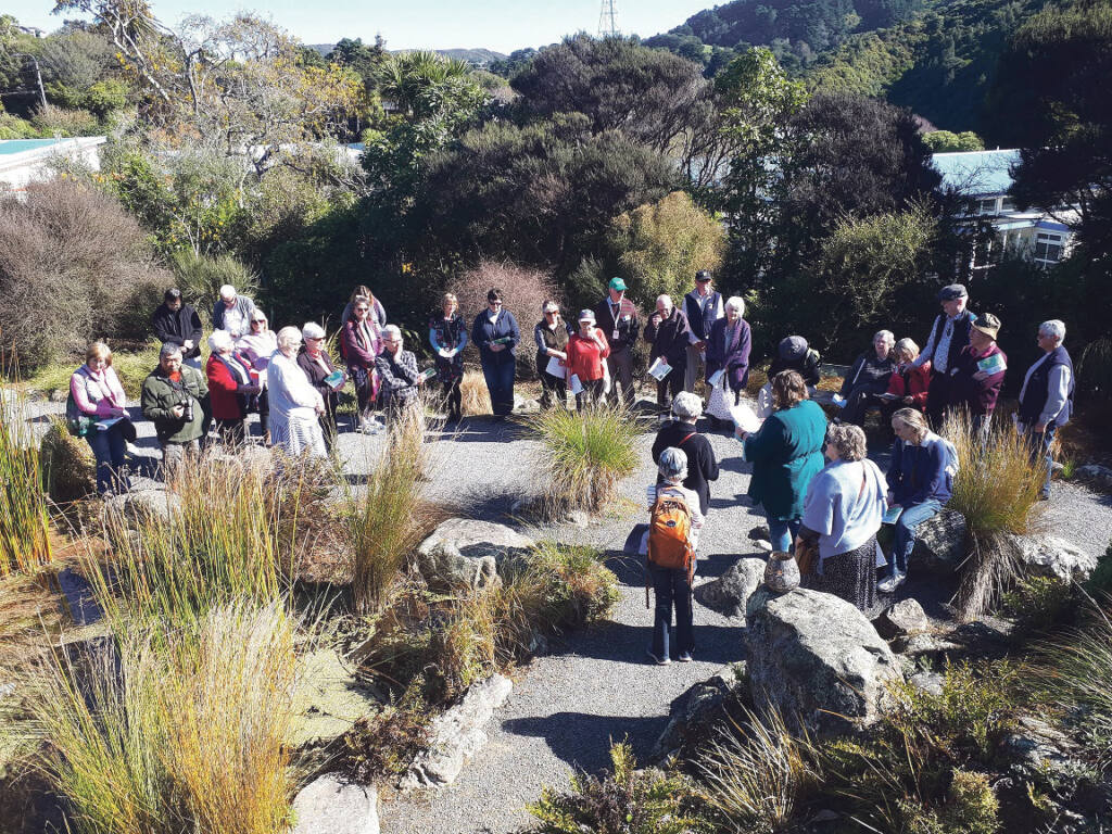 Parish communities observe Season of Creation Archdiocese of Wellington