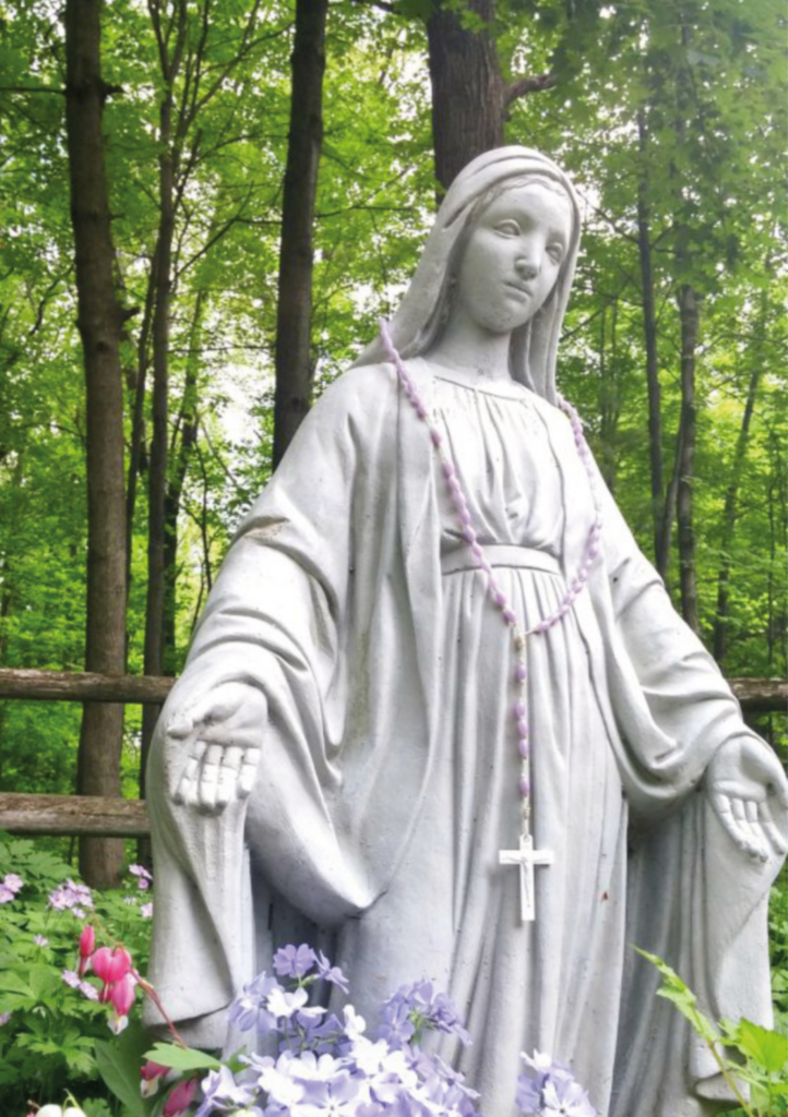 May Month of Mary – Ko Haratua te Marama o Maria Archdiocese of Wellington